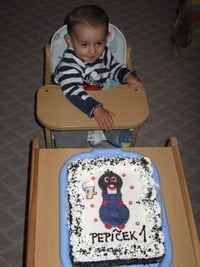 Obsah obrázku narozeninový dort, cake, Lidská tvář, chlapec

Obsah vygenerovaný umělou inteligencí může být nesprávný.