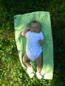 Marek