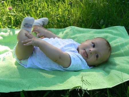 Marek2
