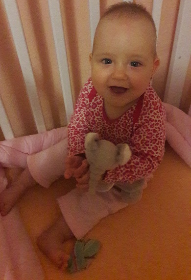 Testování plen Bella Happy