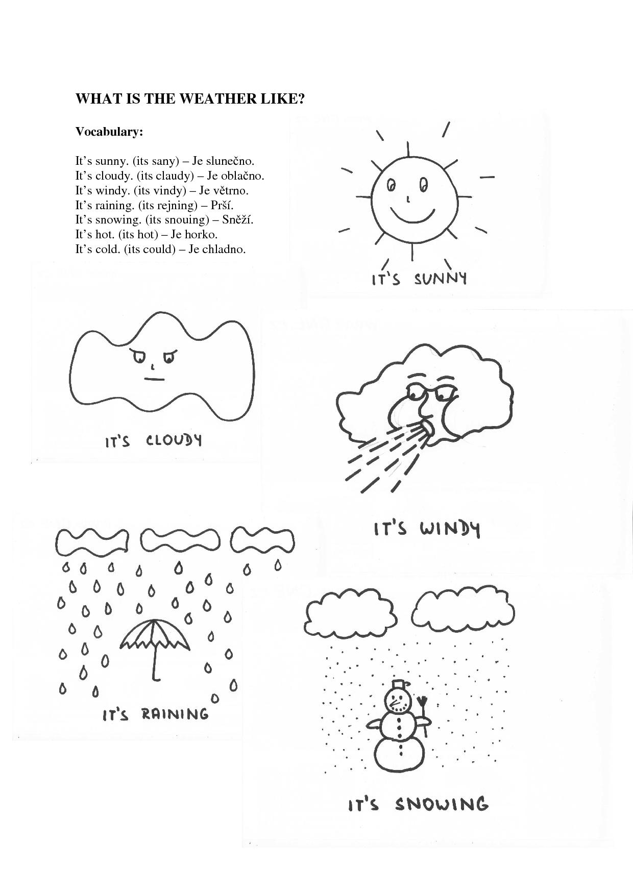 What is the weather like?
