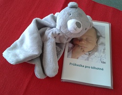 Těhotenská průkazka