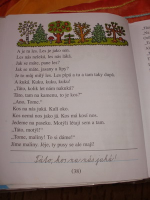 Čítanka