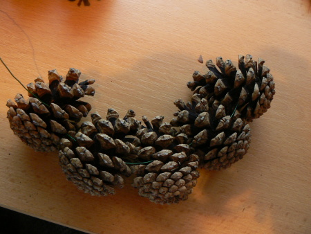 druhá šiška