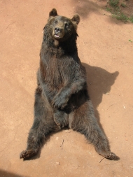 zvětšit