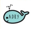 Adry logo