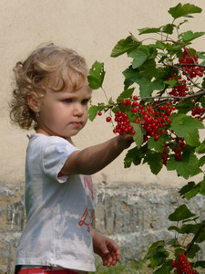 Julinka online