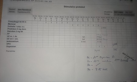 Stimulační protokol Stimulační protokol