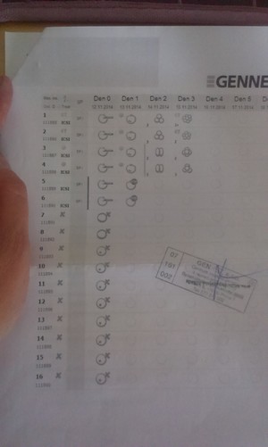 Vývoj embryí Vývoj embryí