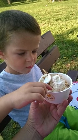 Piknik na Kraví hoře 