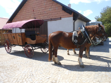 Hospodářský dvůr Bohuslavice - sraz Babyonline 2014