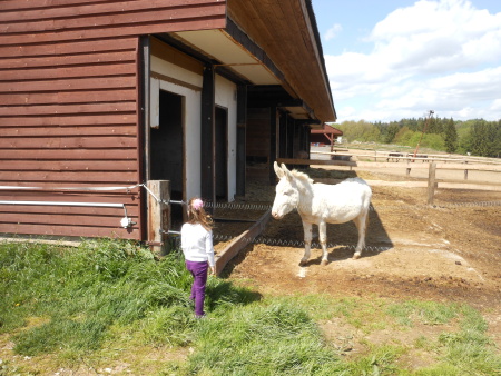 Hospodářský dvůr Bohuslavice - sraz Babyonline 2014