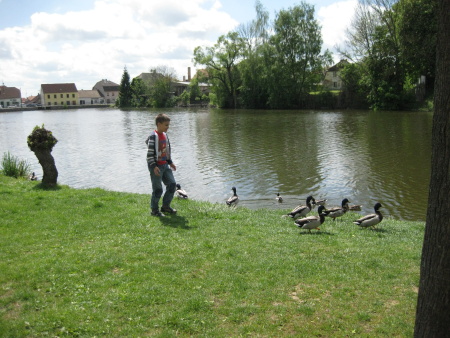 Telč