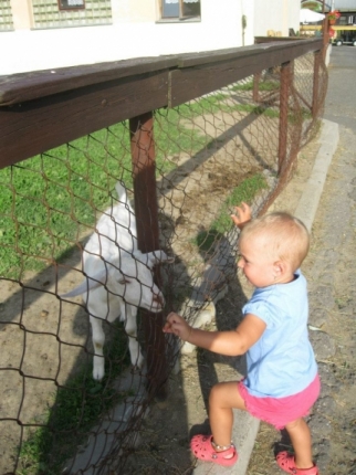21) Výlety V