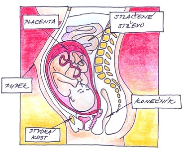 32. týden těhotenství