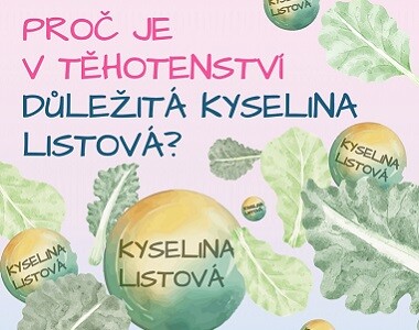 Proč je v těhotenství důležitá kyselina listová?
