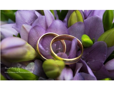 Jak dopadly finance?