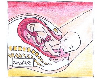 Jak probíhá porod?