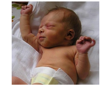 Příběhy ze života holek BOLek