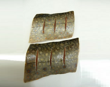 Den šestý - rybičky