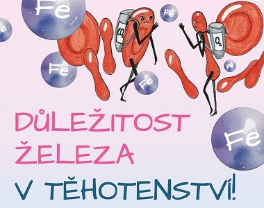 Důležitost železa v těhotenství