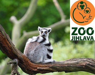 Kraj Vysočina, Jihlava: Zoo Jihlava