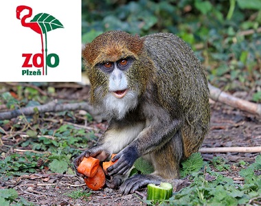 Plzeňský kraj, Plzeň: Zoologická zahrada Plzeň