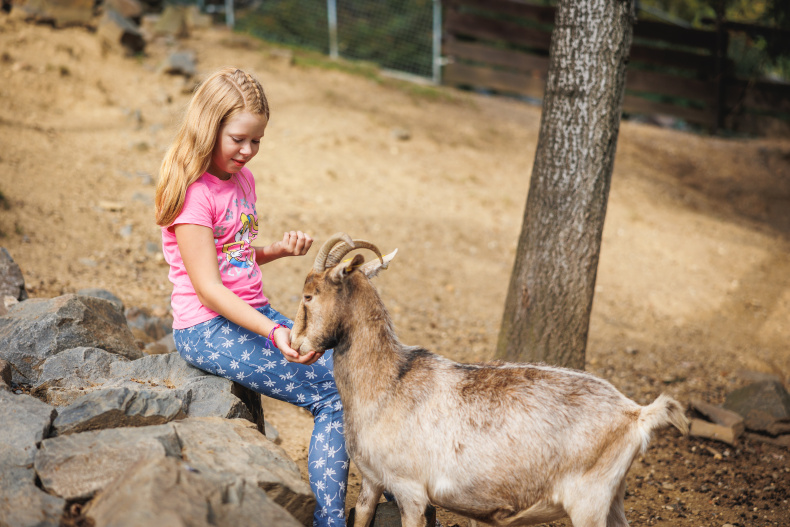 Skalka_Family_Park
