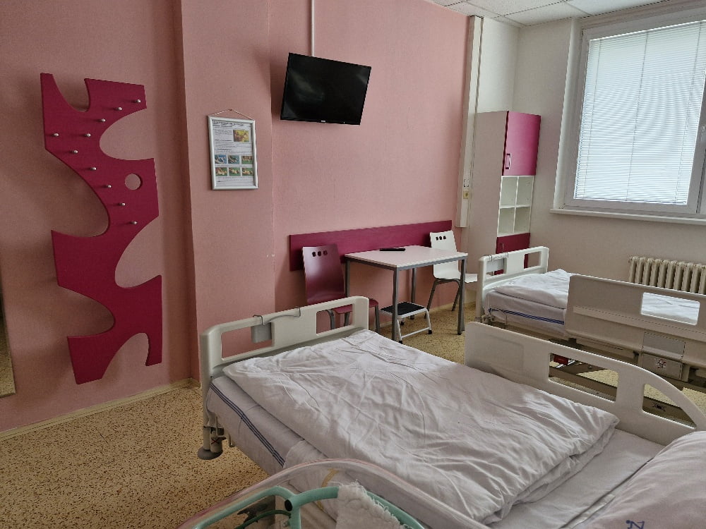 Krajská zdravotní, a.s. - Masarykova nemocnice v Ústí nad Labem, p.o.Šestinedělí červený pokoj 2