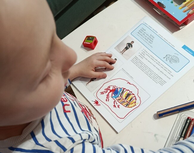 Předškolák Eliáš se pustil do přípravy se starším bratrem