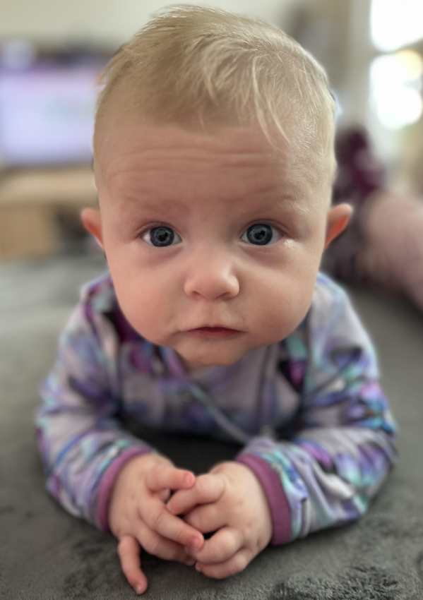 https://www.babyonline.cz/files/media/d4qzusqii38lkckiuefxuldgucohiuhv.jpeg
