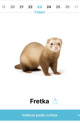 https://www.babyonline.cz/files/media/ojfldtpwk1azqqk38x6mc4p8xfgsdqgm.JPEG