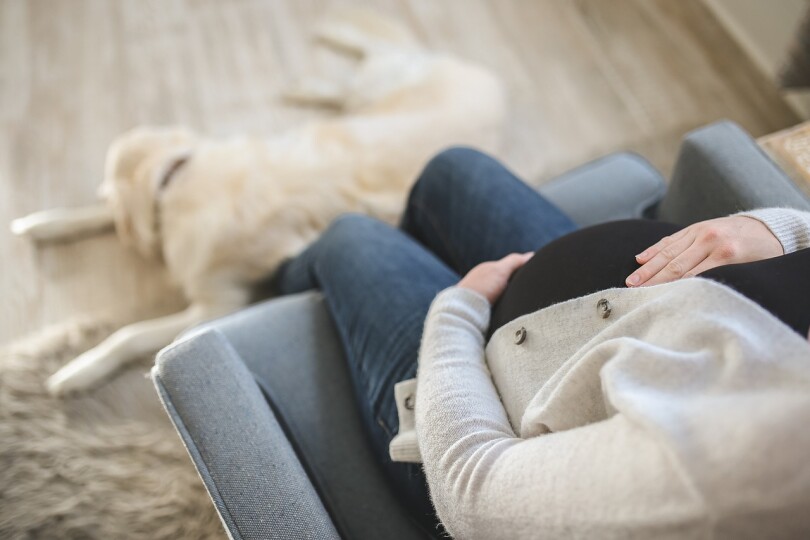 Těhotenské zvracení a Xonvea: Může lék ohrozit miminko?