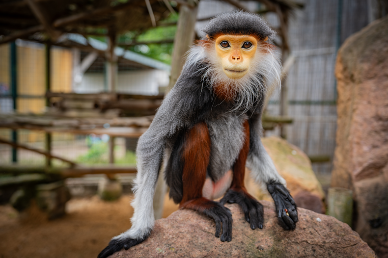 Zoo_Chleby