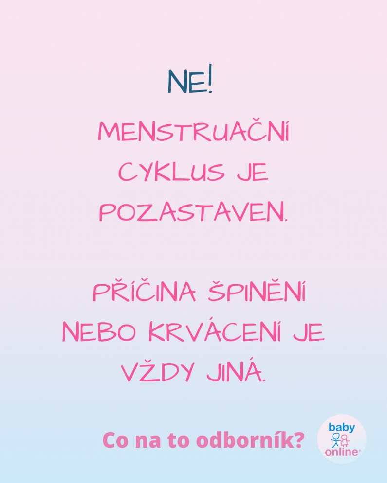 https://www.babyonline.cz/files/media/rbk5ijfdrkjtvvptypk0jtzrzsl2kcdn.jpg