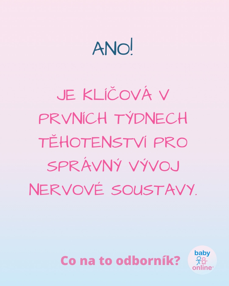 https://www.babyonline.cz/files/media/u3wivrqvfzlfjl4wessgfqtjd3pdyoic.jpg