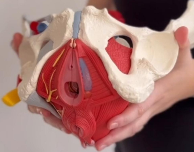 Gynekologická fyzioterapie v těhotenství: Pomoc při bolestech a příprava na porod