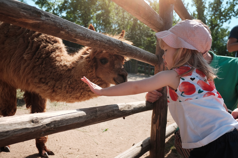 Zoopark_Zájezd