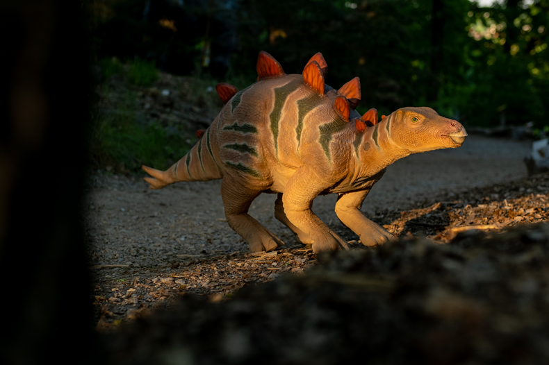 DinoPark
