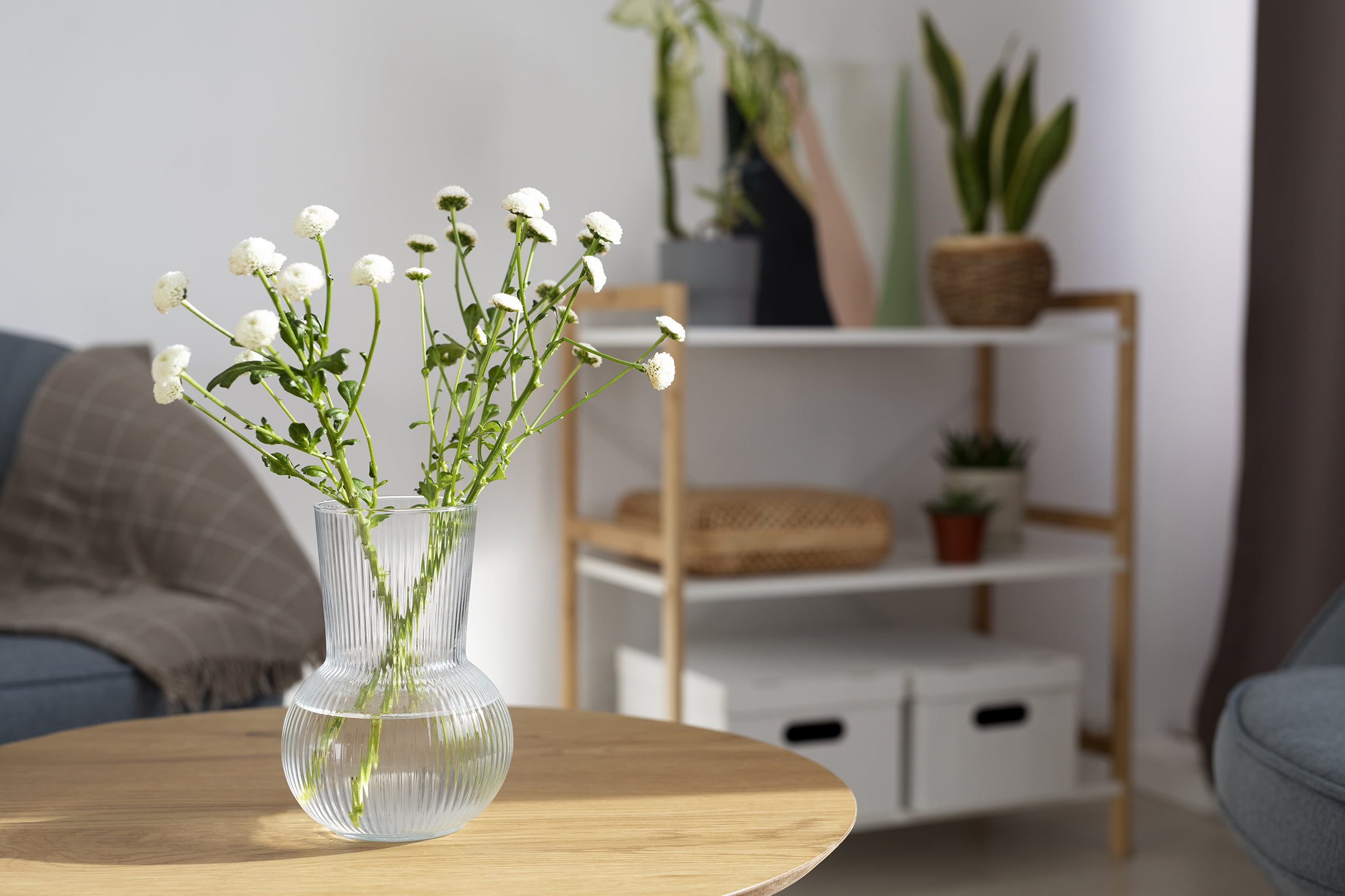 beautiful-white-flowers-vase