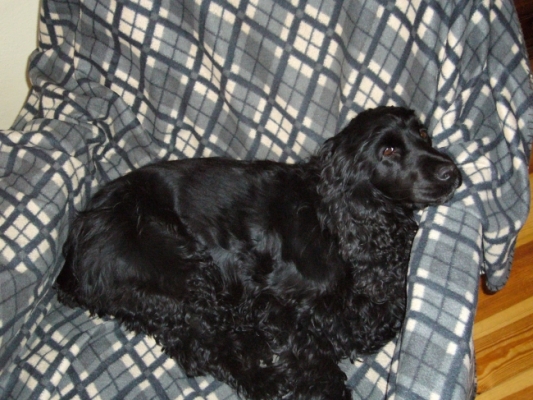 20066
