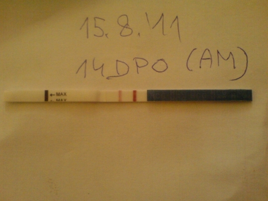 140737