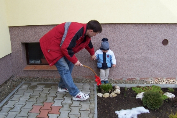 12003