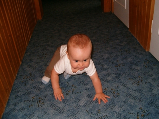 26158