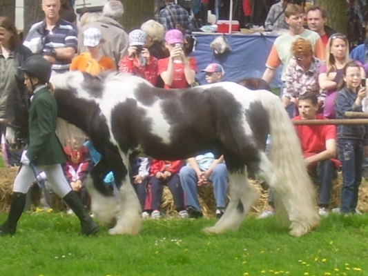 105135