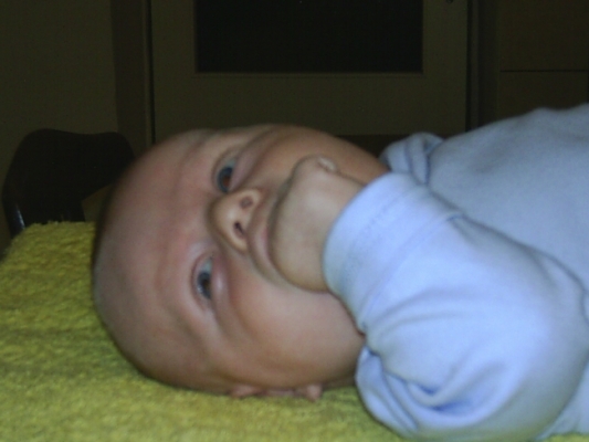 15335