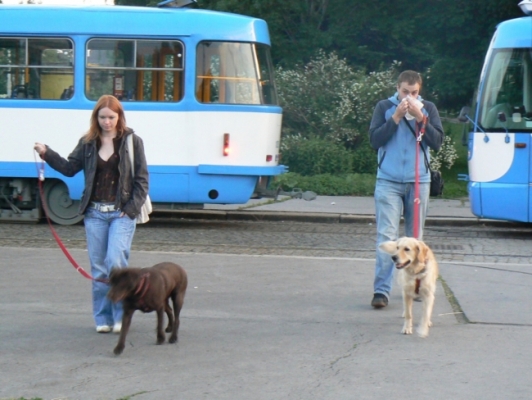 43171