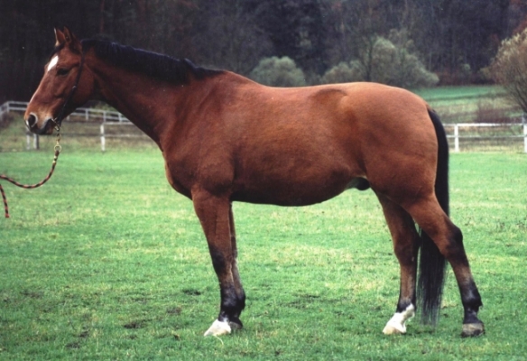 16278