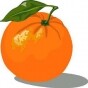 Mandarinka007