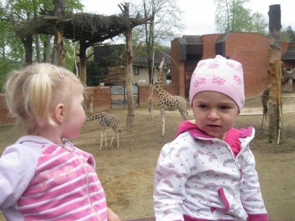 22) výlety zoo